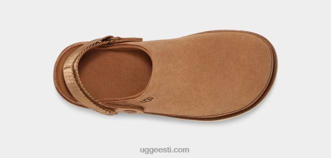 UGG naised kuldtähe ummistus PHPB599 kastan