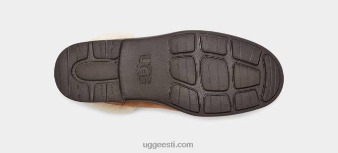 UGG naised harrison hubane pits PHPB663 kastan