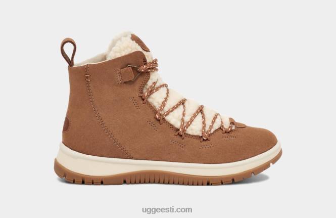 UGG naised järveäärne pärand kesk PHPB710 kastani seemisnahk