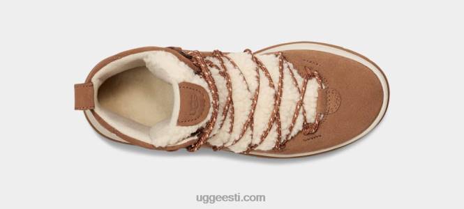 UGG naised järveäärne pärand kesk PHPB710 kastani seemisnahk