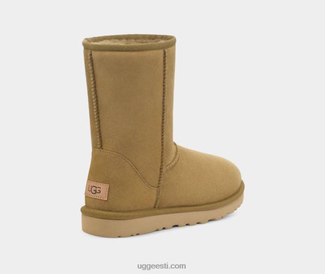 UGG naised klassikaline lühike ii saapad PHPB714 tomatillo