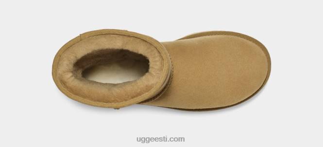 UGG naised klassikaline lühike ii saapad PHPB714 tomatillo