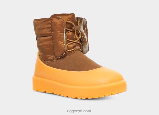 UGG naised klassikaline maxi lüliti PHPB520 kastan