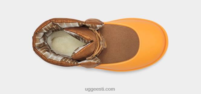 UGG naised klassikaline maxi lüliti PHPB520 kastan