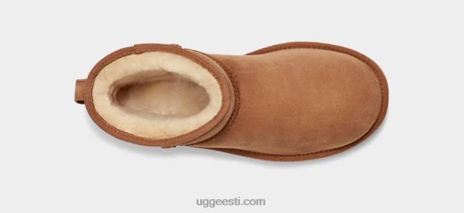 UGG naised klassikaline mini ii saapad PHPB473 kastan