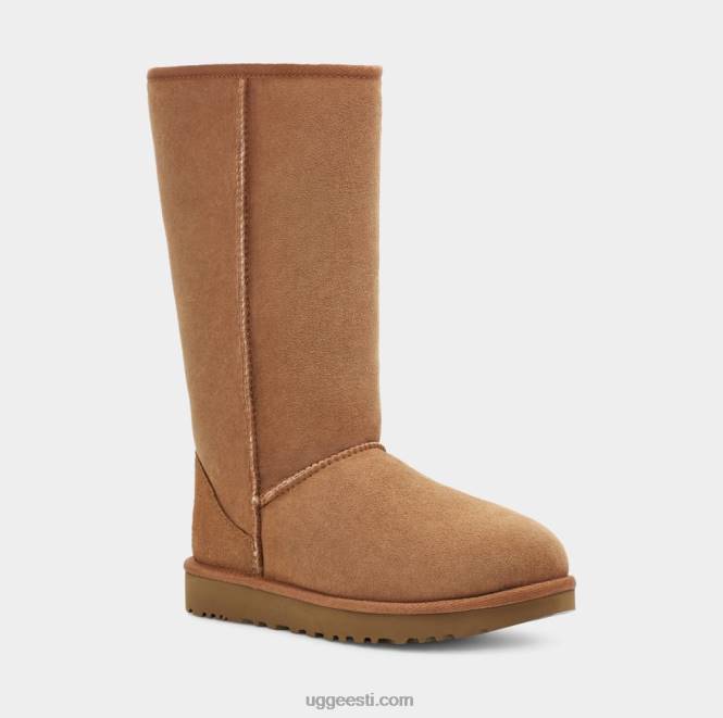 UGG naised klassikaline pikk ii saabas PHPB564 kastan