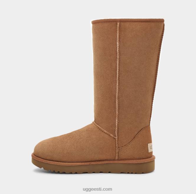 UGG naised klassikaline pikk ii saabas PHPB564 kastan