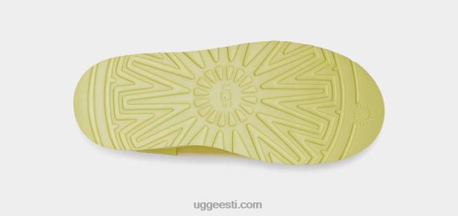 UGG naised klassikaline selge mini PHPB775 õietolmu