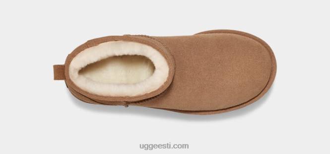 UGG naised klassikaline ultra mini platvorm PHPB588 kastan