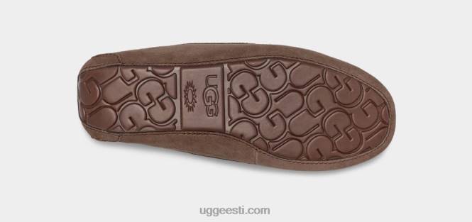 UGG naised ansley PHPB374 espresso