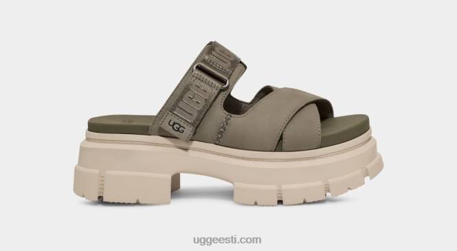 UGG naised ashtoni liumägi PHPB465 samblaroheline