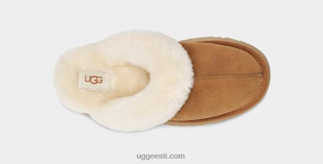 UGG naised diskett PHPB2126 kastan