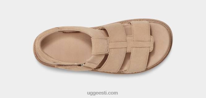 UGG naised goldenstar rihm PHPB457 triivpuit