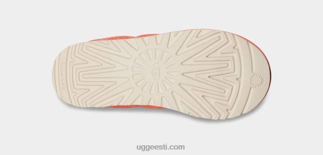 UGG naised tasman lta PHPB2099 magus virsik