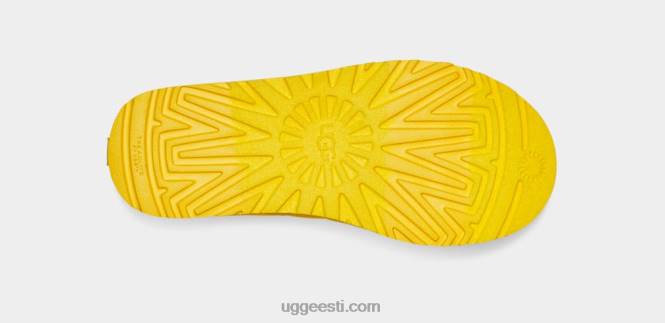 UGG naised tasman lta PHPB614 kanaarilind