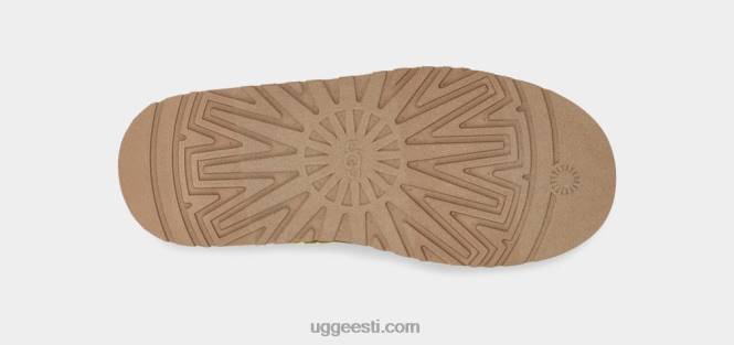 UGG naised tazz maxi tasman PHPB688 põletatud oliiv