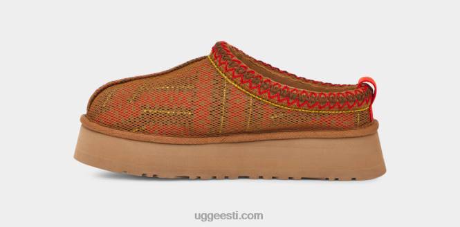 UGG naised tazz maxi tasman PHPB689 kastan