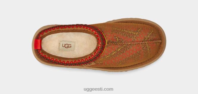 UGG naised tazz maxi tasman PHPB689 kastan