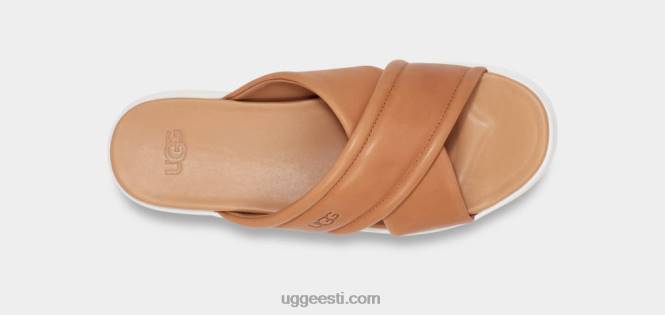 UGG naised zayne ristpael PHPB538 pruunikas nahk