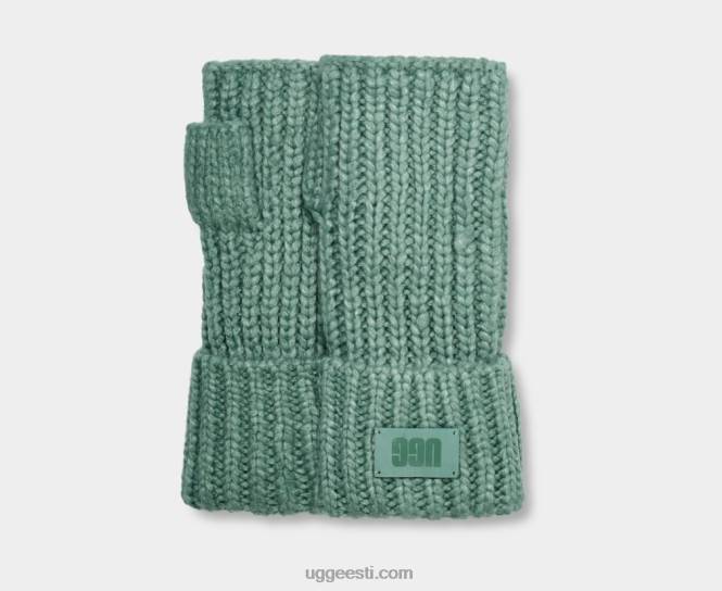 UGG naised turske sõrmedeta mansettkinnas PHPB1243 Aloe Vera